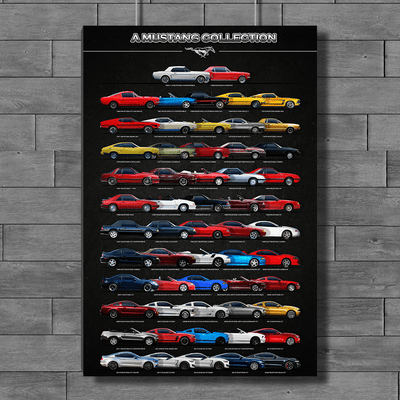 Stang New Collection Canvas Wall Art