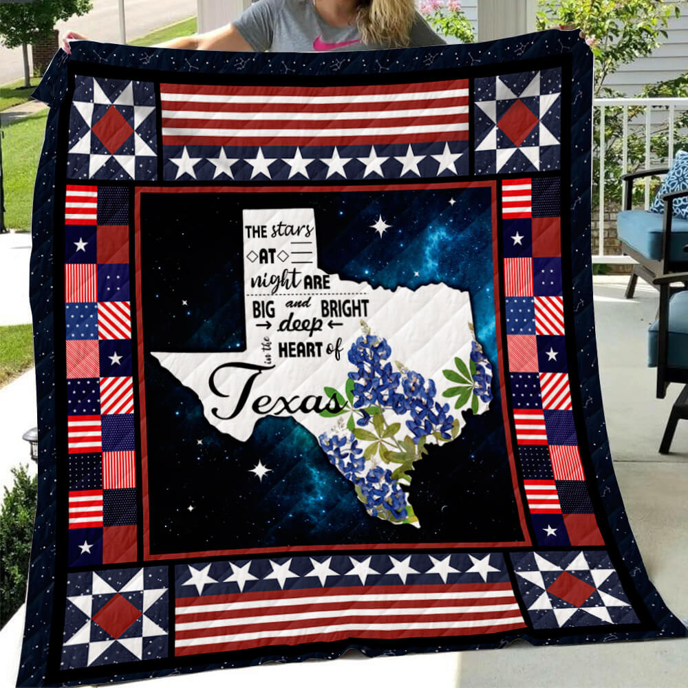 Texas Art Quilt V.5